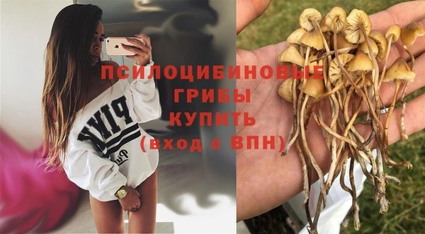 мескалин Зерноград