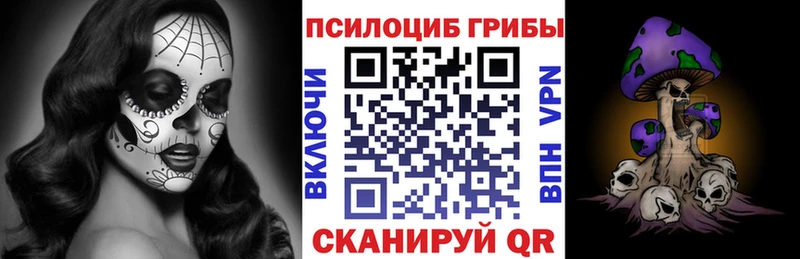 Галлюциногенные грибы мицелий Купить закладки Игарка